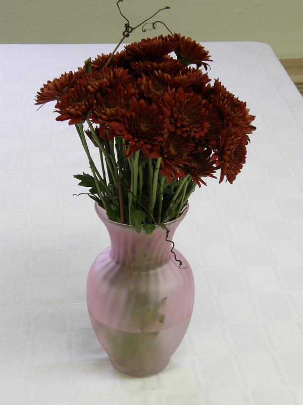 PA115068.JPG