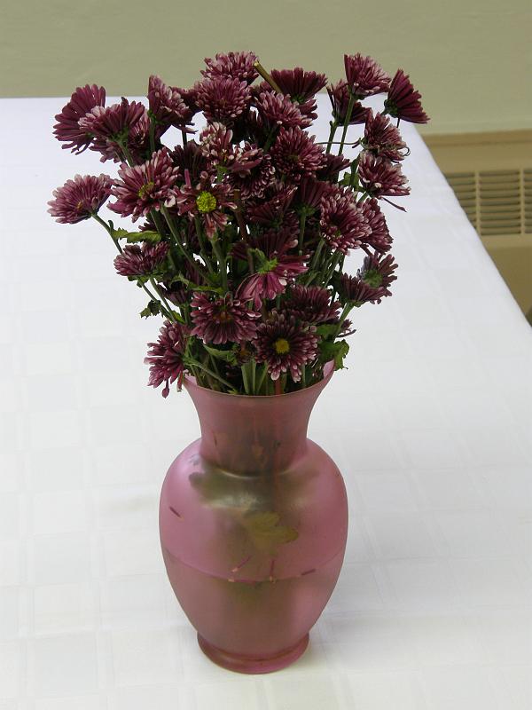 PA115071.JPG